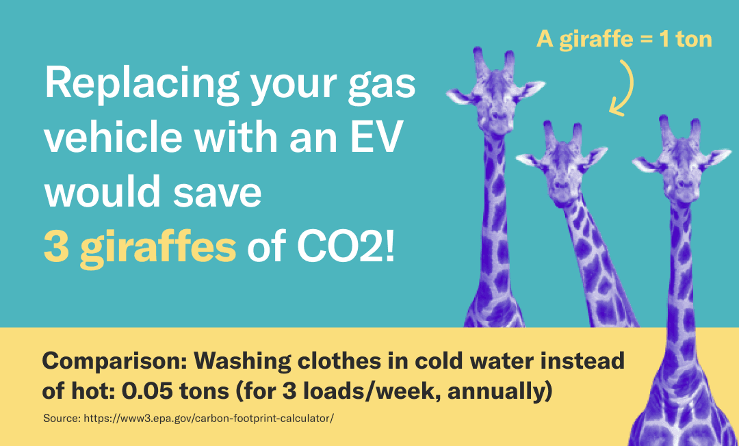 Graphic showing three purple giraffes next to the text: Replacing your gas vehicle with an EV would save 3 giraffes of CO2! Comparison: Washing clothes in cold water instead of hot: 0.05 tons (for 3 loads/week, annually)