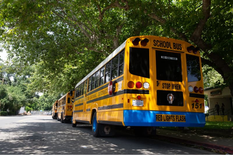 A series of three electric school buses are parked on the curb on a street in front of a building in California. They are shaded underneath green trees.