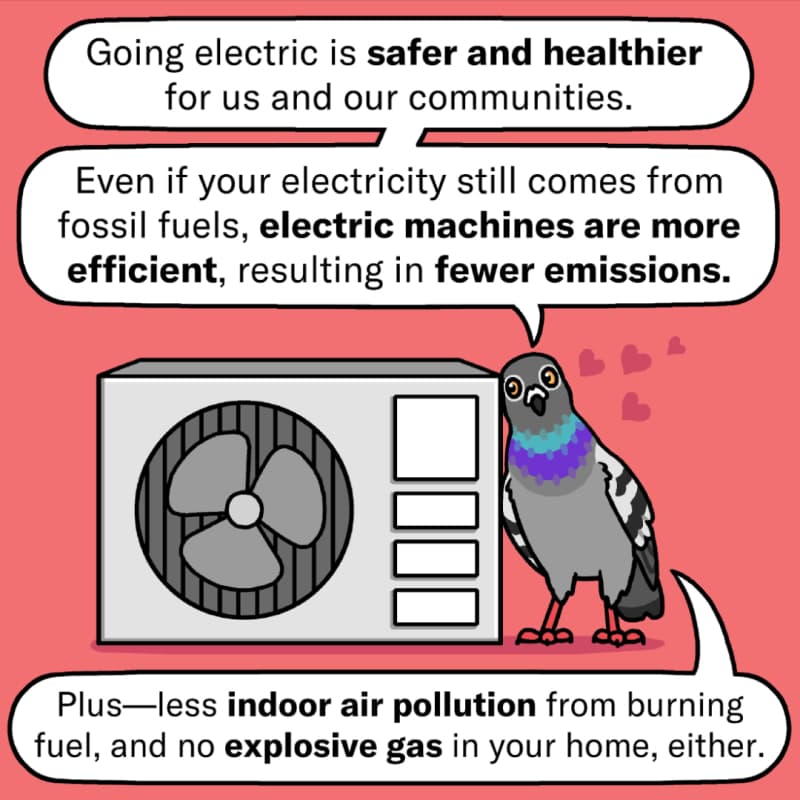 a gray pigeon with blue and purple feathers nuzzles a heat pump with heart symbols coming out of its side. The bird explains the benefits of going electric.